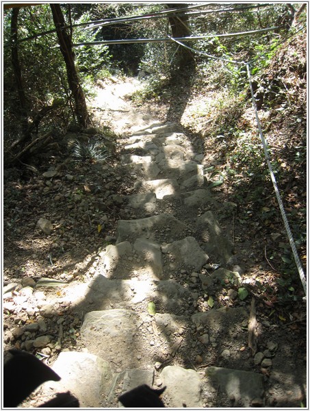 2014-01-18 10-00-22里龍山登山步道.JPG